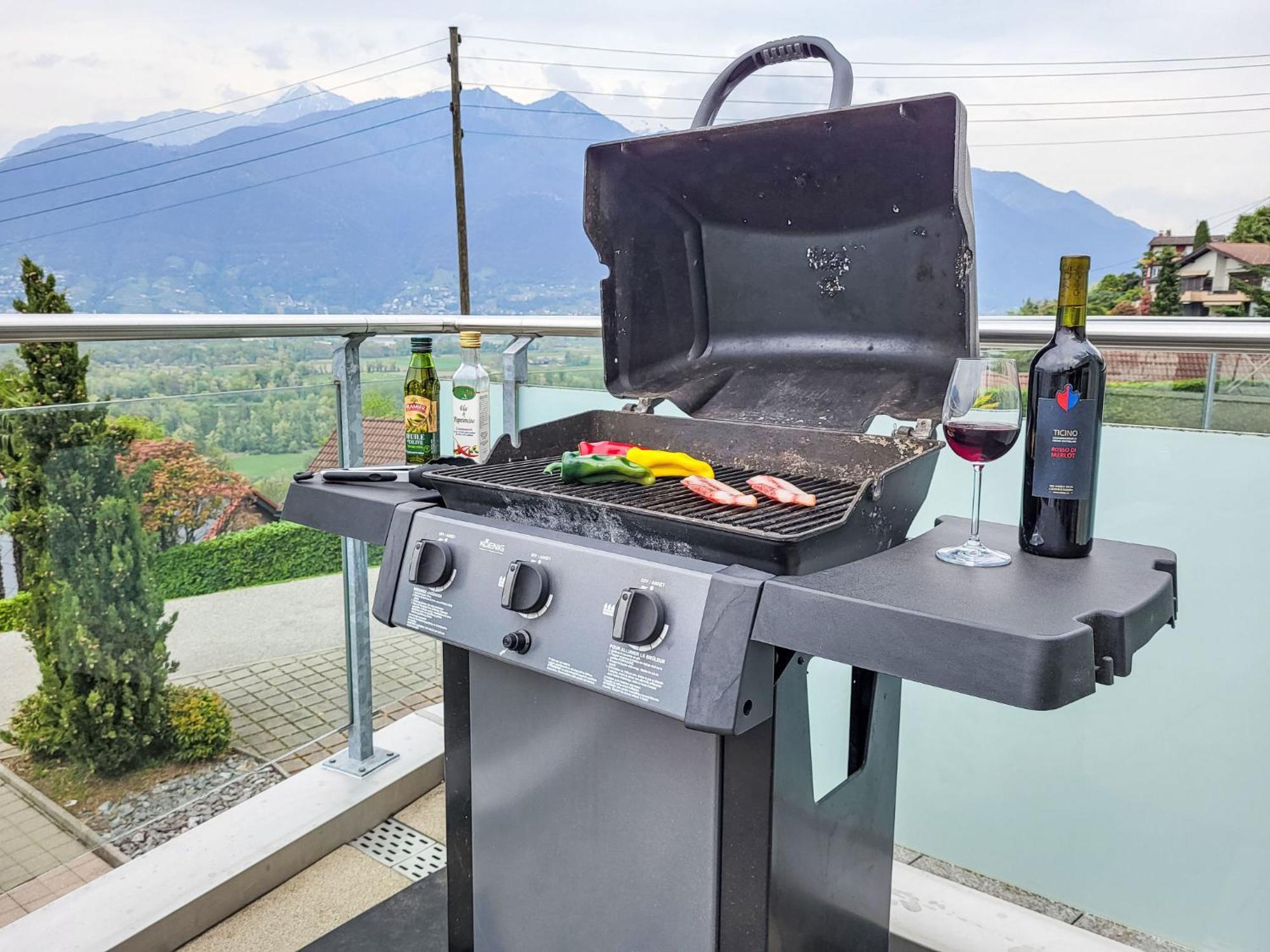 Apartment Vista Lago Maggiore 1-Floor Left By Interhome Gambarogno Ngoại thất bức ảnh